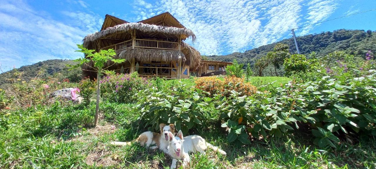 Ecohotel Soplo Del Tambo Cocorná Exterior foto
